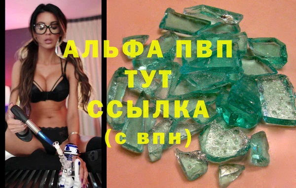 экстази Арсеньев