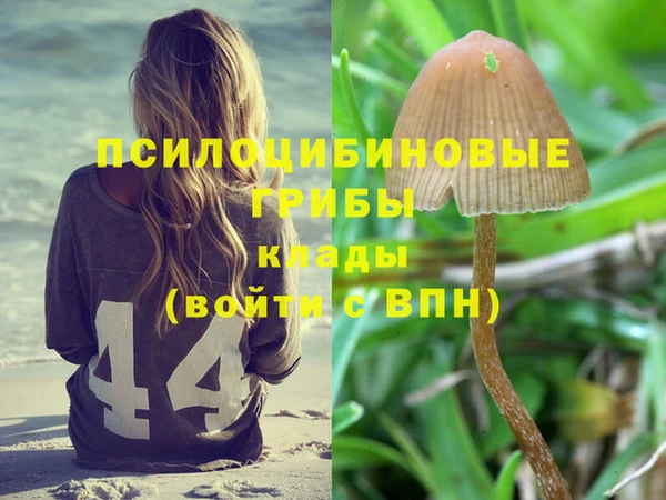 дмт Сатка